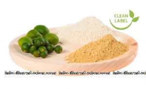 extractos y flavonoides cítricos naturales